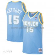 Camisetas Baloncesto Niños Denver Nuggets Kids 2003-04 Carmelo Anthony 15# Light Blue Hardwood Class..